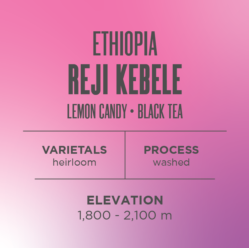 Ethiopia Reji Kebele