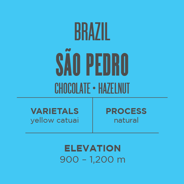 Brazil São Pedro