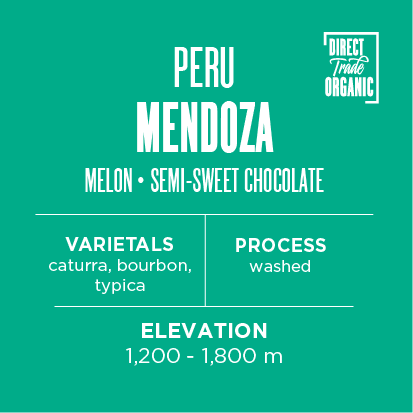 Peru - Mendoza